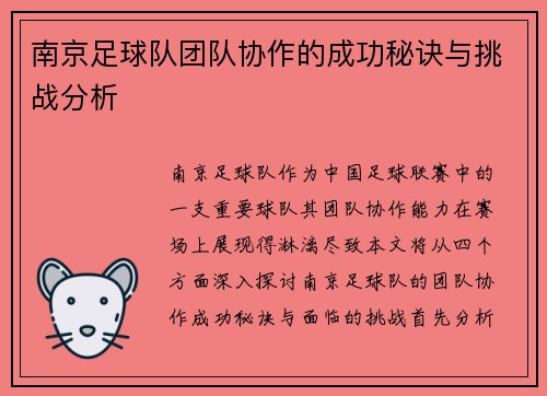 南京足球队团队协作的成功秘诀与挑战分析