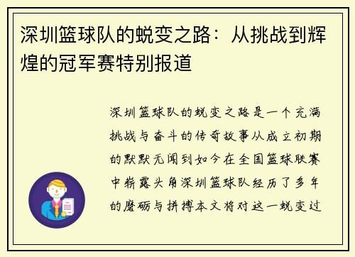 深圳篮球队的蜕变之路：从挑战到辉煌的冠军赛特别报道