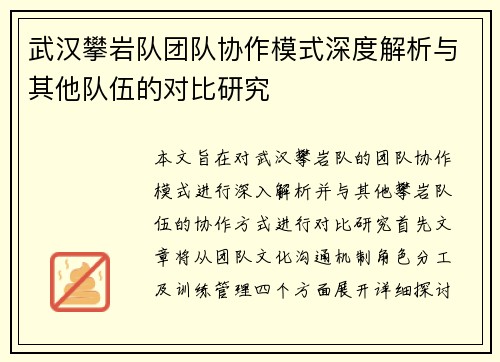 武汉攀岩队团队协作模式深度解析与其他队伍的对比研究