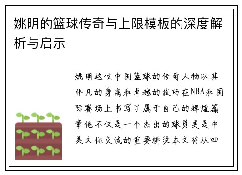 姚明的篮球传奇与上限模板的深度解析与启示