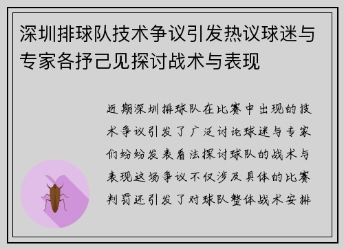 深圳排球队技术争议引发热议球迷与专家各抒己见探讨战术与表现